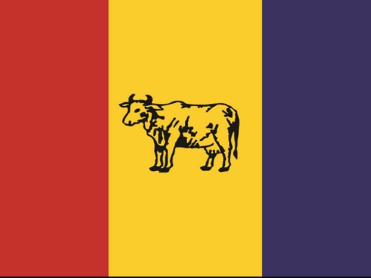 राप्रपाको महाधिवेशन कात्तिक २७ मा